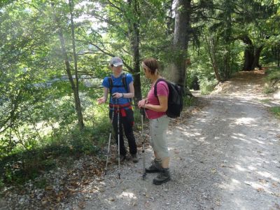 Kliknite za ogled večje slike