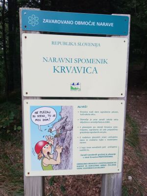 Kliknite za ogled večje slike