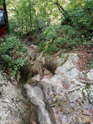 Kliknite za ogled večje slike