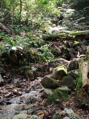 Kliknite za ogled večje slike