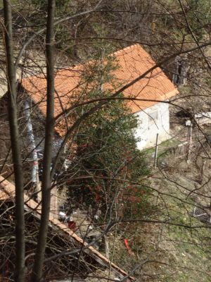 Kliknite za ogled večje slike