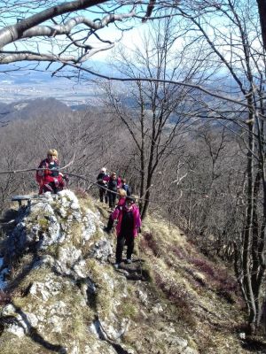 Kliknite za ogled večje slike