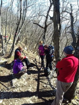 Kliknite za ogled večje slike