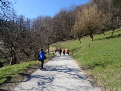 Kliknite za ogled večje slike