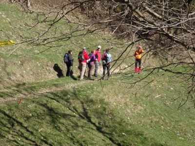 Kliknite za ogled večje slike