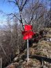 DSC08175.JPG