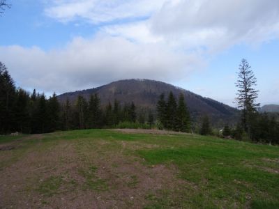 Kliknite za ogled večje slike