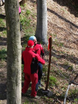 Kliknite za ogled večje slike