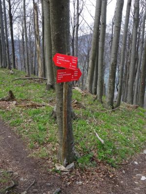 Kliknite za ogled večje slike