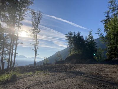 Kliknite za ogled večje slike