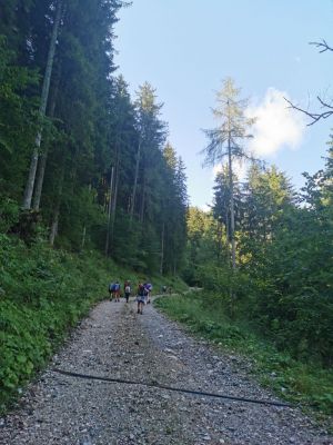 Kliknite za ogled večje slike