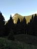 IMG_20210803_082802.jpg