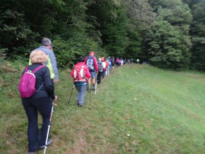 Kliknite za ogled večje slike