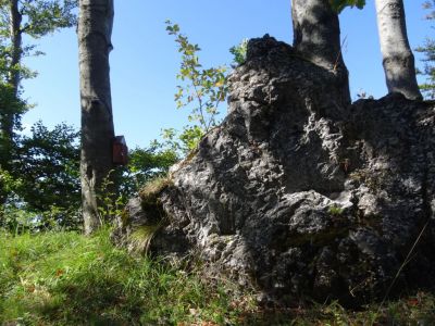 Kliknite za ogled večje slike