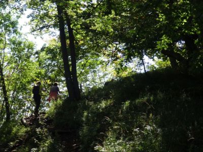 Kliknite za ogled večje slike