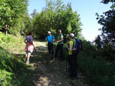 Kliknite za ogled večje slike