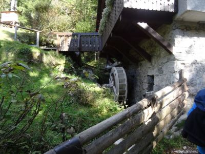 Kliknite za ogled večje slike