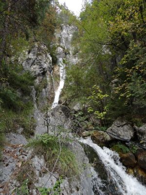 Kliknite za ogled večje slike