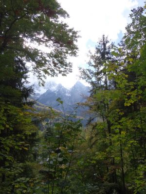 Kliknite za ogled večje slike