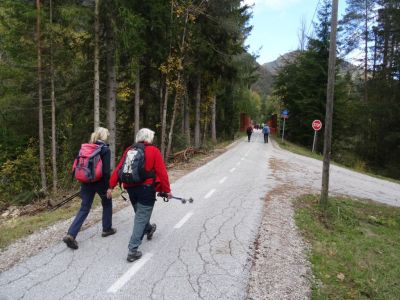 Kliknite za ogled večje slike
