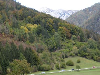 Kliknite za ogled večje slike