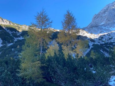 Kliknite za ogled večje slike