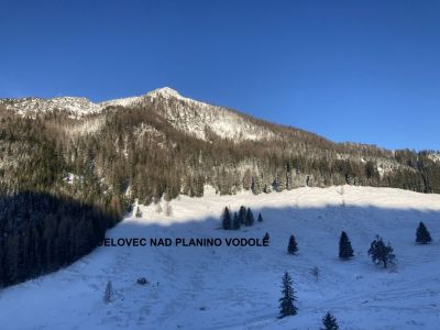 Kliknite za ogled večje slike
