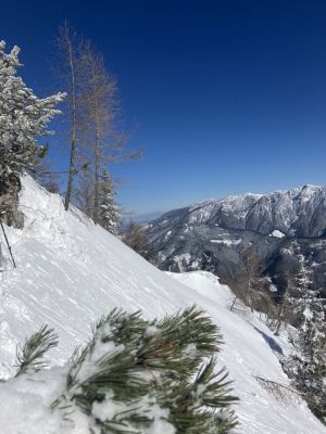 Kliknite za ogled večje slike