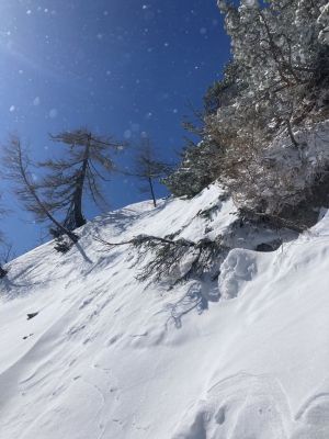Kliknite za ogled večje slike