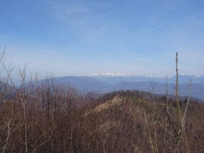 Kliknite za ogled večje slike