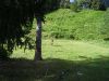 DSC00593.JPG