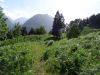 DSC00600.JPG