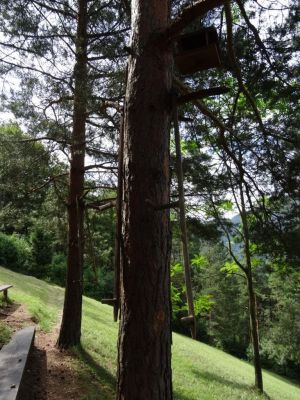 Kliknite za ogled večje slike