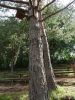 DSC00651.JPG