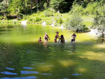 Kliknite za ogled večje slike