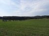 DSC01258.JPG