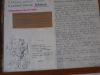DSC01308.JPG