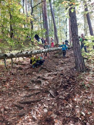 Kliknite za ogled večje slike