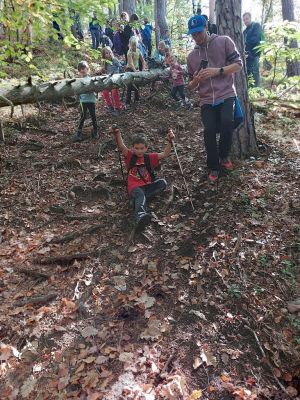 Kliknite za ogled večje slike