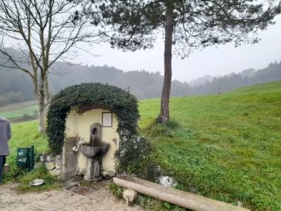 Kliknite za ogled večje slike