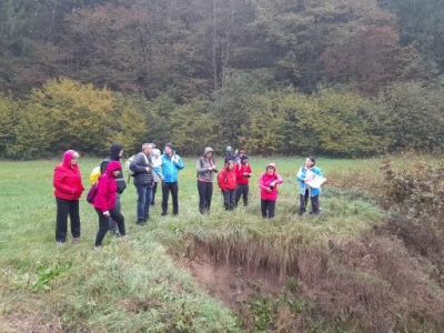 Kliknite za ogled večje slike