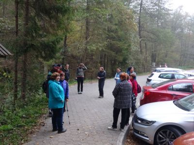 Kliknite za ogled večje slike