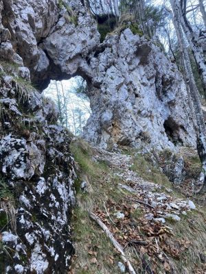 Kliknite za ogled večje slike