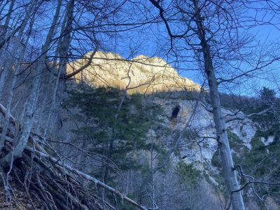 Kliknite za ogled večje slike