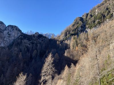 Kliknite za ogled večje slike