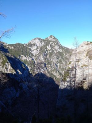 Kliknite za ogled večje slike