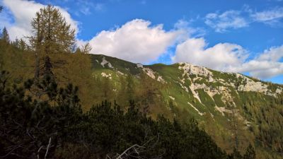 Kliknite za ogled večje slike