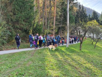 Kliknite za ogled večje slike