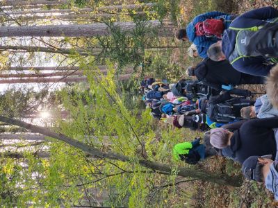 Kliknite za ogled večje slike