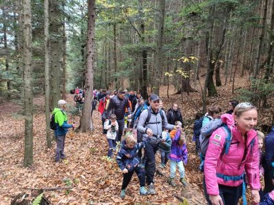 Kliknite za ogled večje slike